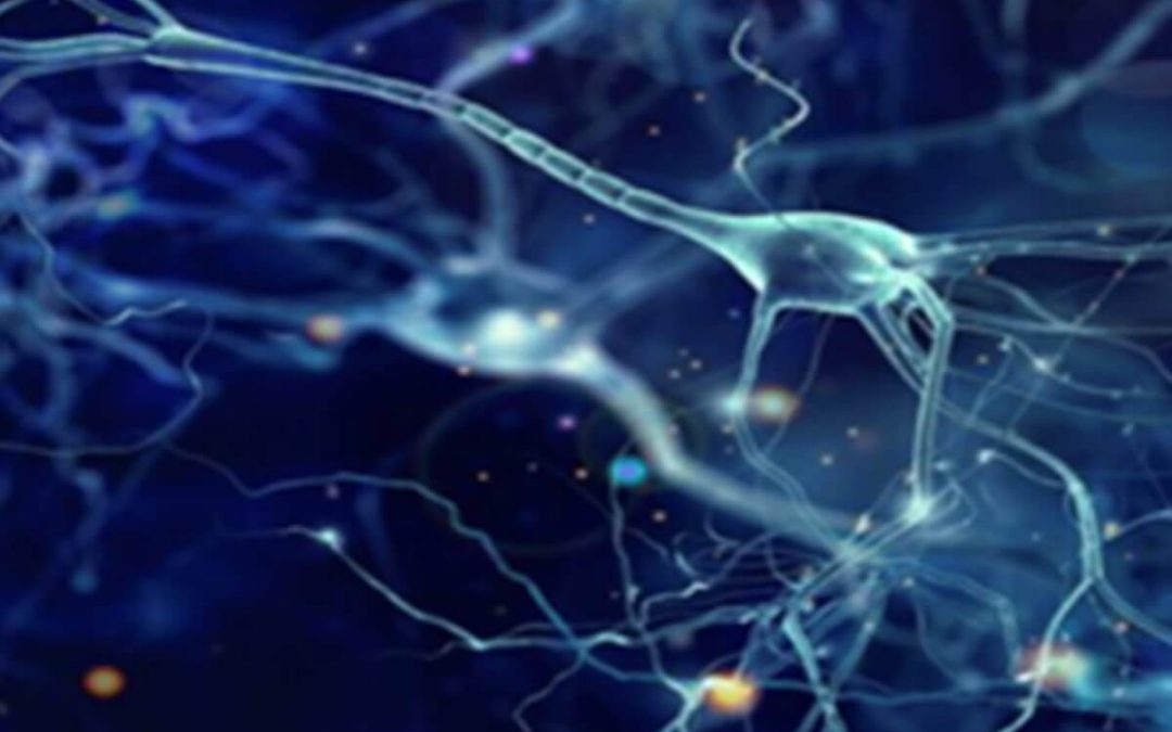 Applications of Mesenchymal Stem Cells in Skin Regeneration and Rejuvenation